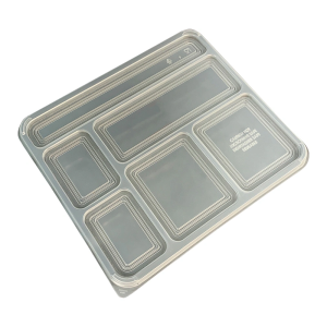 Plastic Disposable Lunch Box