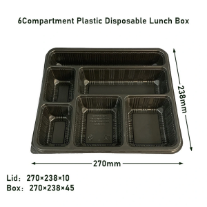 Plastic Disposable Lunch Box