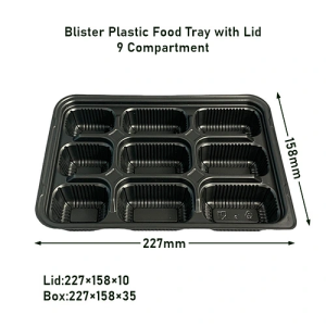 9 compartment Disposable Plastic Trays