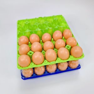 Egg Tray