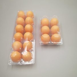 Custom Blister Plastic Egg Tray