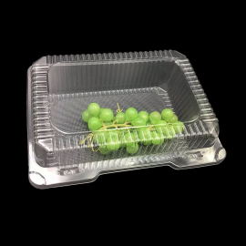 1800ml Disposable Custom Plastic Box Clear Pet Boxes