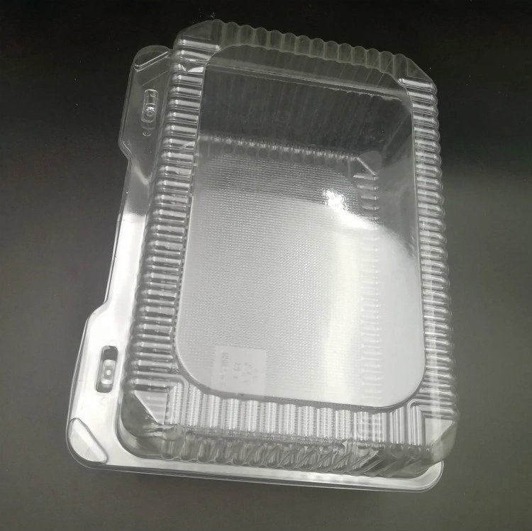 Disposable Blister Plastic Clamshell Food Container