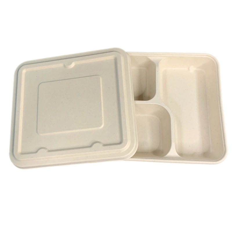 Disposable Compostable 3Compartment bagasse meal box