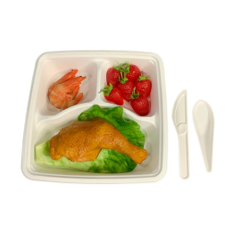 3 Compartments Wholesale Price Bagasse Food Box Takeaway