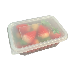 Disposable PP Custom Plastic Box Cheap Takeaway Containers