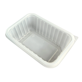 Custom Plastic Box Disposable Disposable party tableware