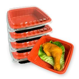 Disposable Custom Plastic Box Manufacturers To Go Food Containers