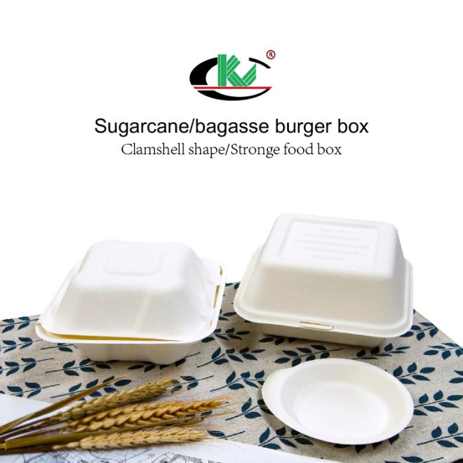 Bagasse Burger Box_10