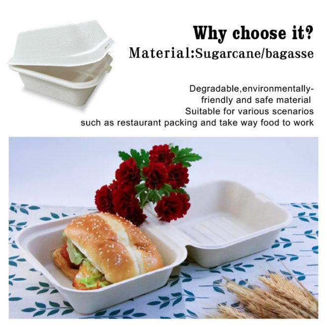 Bagasse Burger Box_11