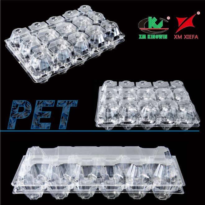 PET egg tray_4