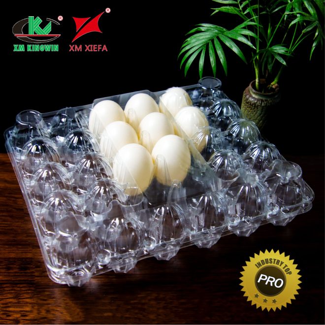 PET Plastic Egg Tray_13