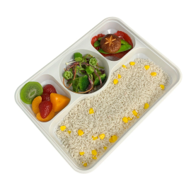 4-compartment custom plastic box for takeout food packaging container