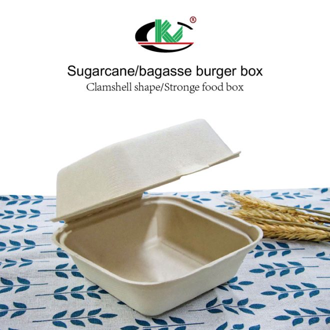 Bagasse Burger Box_4