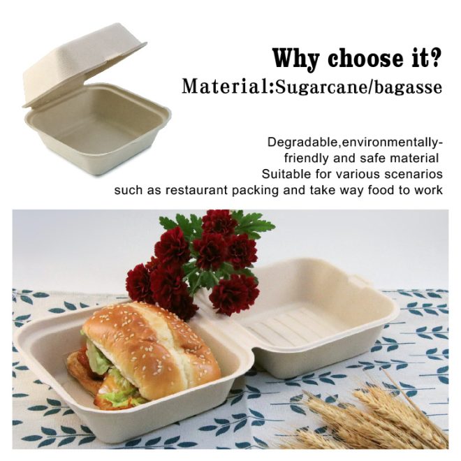 Bagasse Burger Box_5