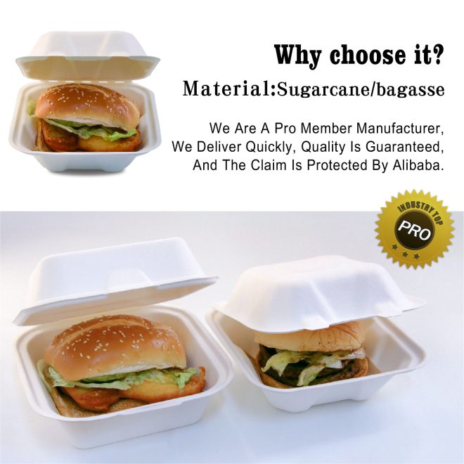 Bagasse Burger Box_22