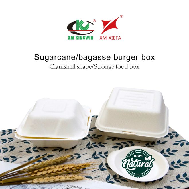 Bagasse Burger Box_14