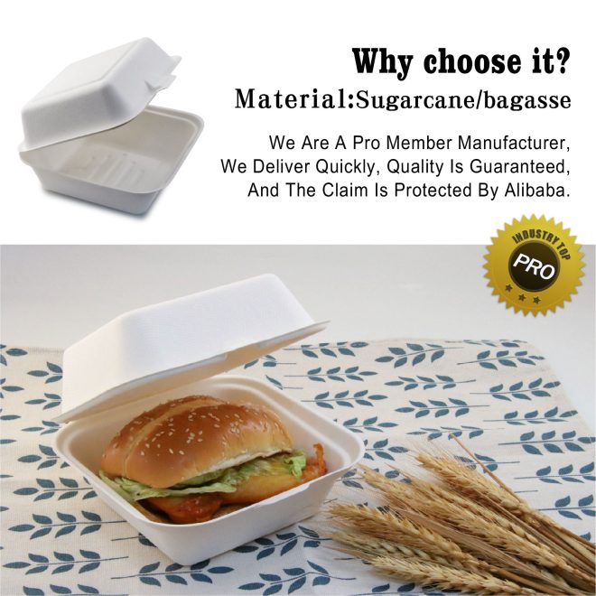 Bagasse Burger Box_15