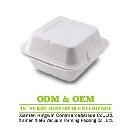 6*6 inch compostable sugarcane bagasse burger box