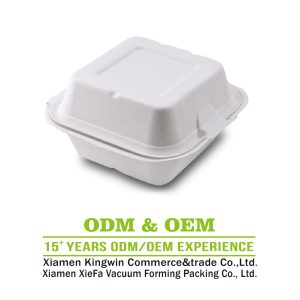 Bagasse Burger Box_16