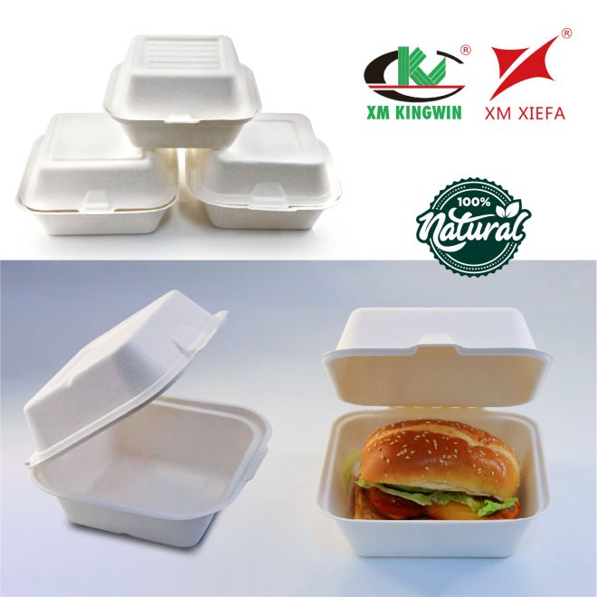 Bagasse Burger Box_18