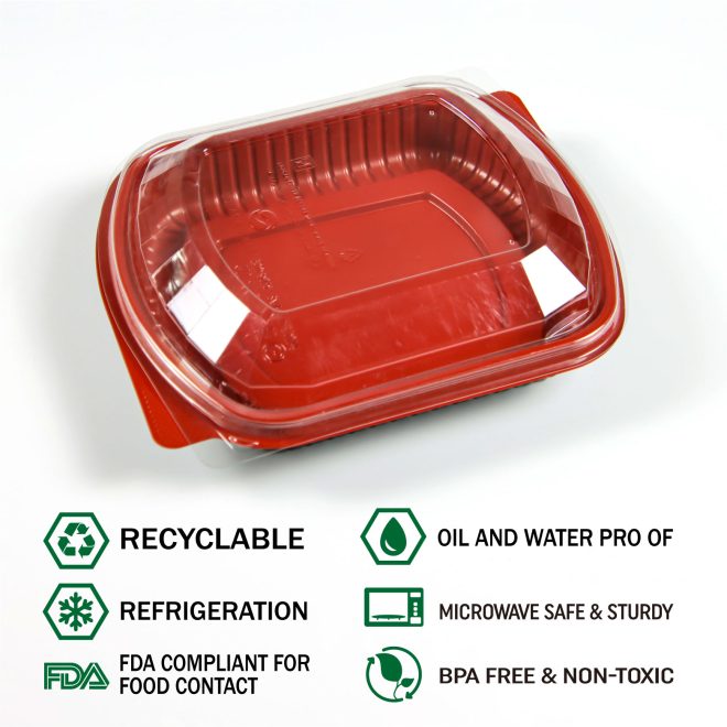 Disposable PP Plastic Box-02