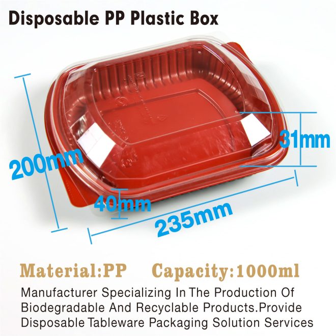 Disposable PP Plastic Box-03