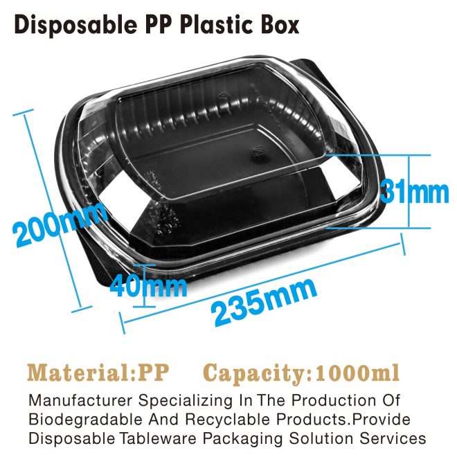 Disposable PP Plastic Box-18