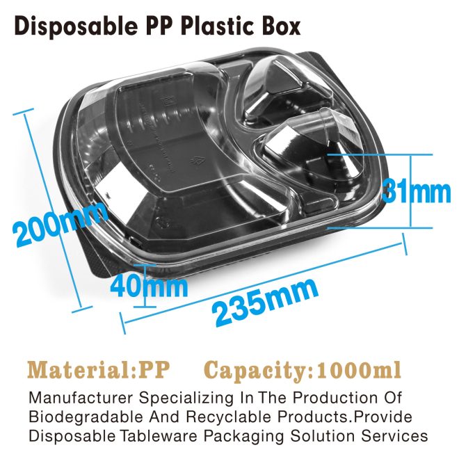 Disposable PP Plastic Box-28