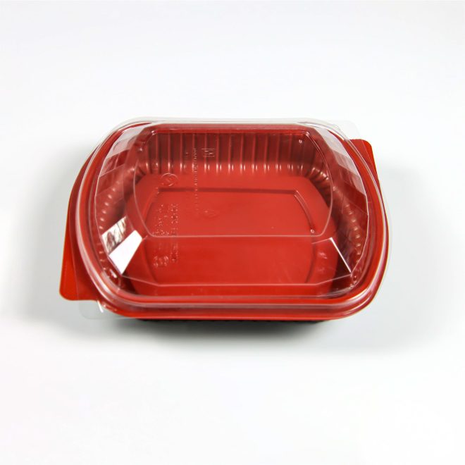 Disposable PP Plastic Box_1