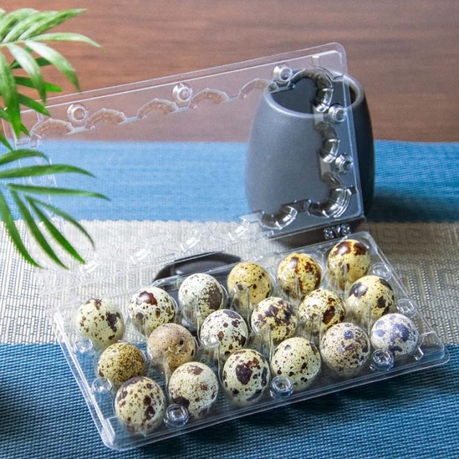 PET Plastic Quail Egg Tray-05