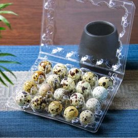 XIEFA 20 Hole Customized Wholesale PET Plastic Quail Egg Tray