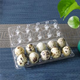 XIEFA 10 Hole Customized Wholesale PET Plastic Quail Egg Tray