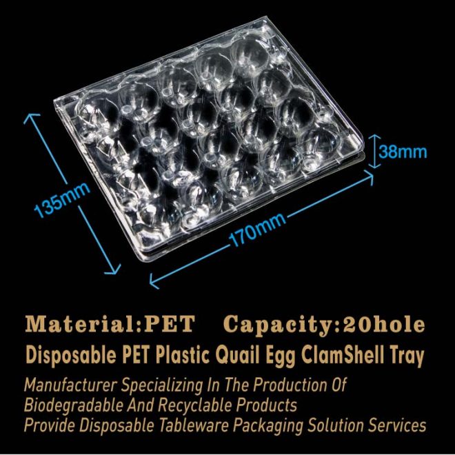 PET Plastic Quail Egg Tray-11