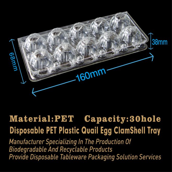 PET Plastic Quail Egg Tray-3