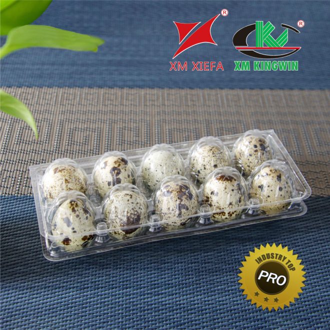 PET Plastic Quail Egg Tray-4