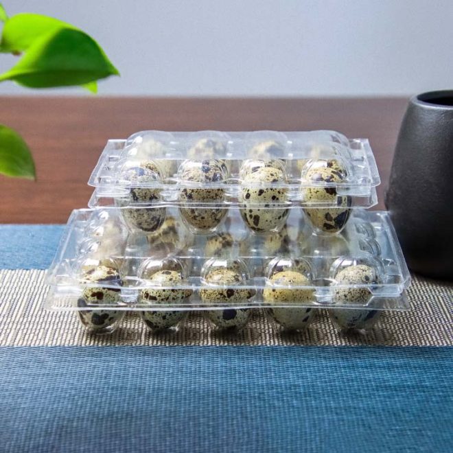 PET Plastic Quail Egg Tray_ 1