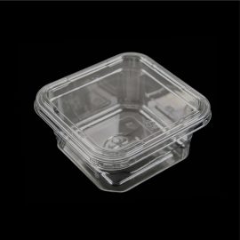 12-oZ Wholesale Custom Recyclable Clear RPET Fruit Plastic Box