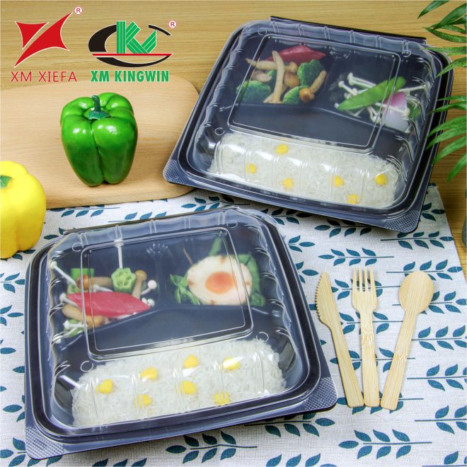 Clamshell PP lunch box_21