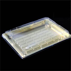 260*195*45mm RPET Plastic Sushi Tray With PET lid