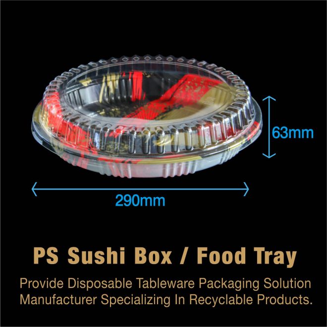 Plastic Sushi Tray_26