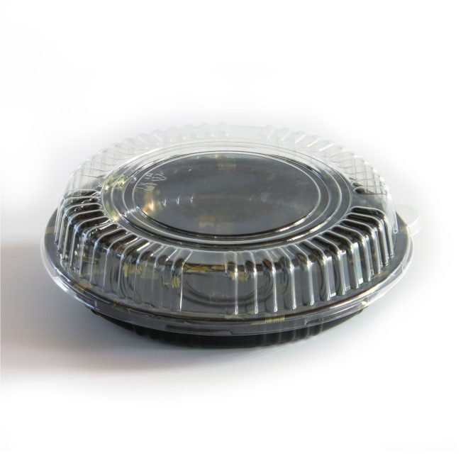 Plastic Sushi Tray_27