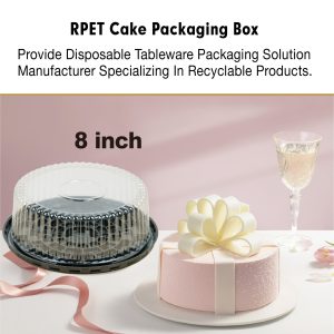 plastic cake box