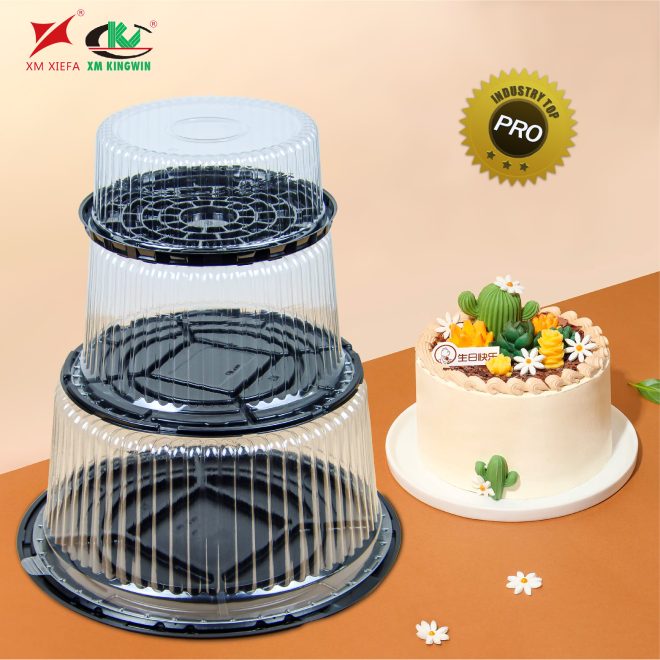 plastic cake box