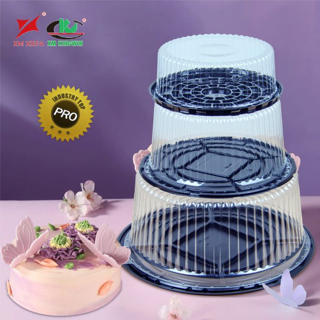 plastic cake box