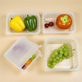 Translucent Custom Recyclable PP Plastic Food Tray