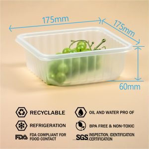 pp plastic food tray