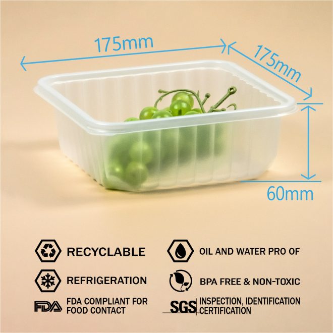 pp plastic food tray