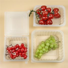 Translucent ClamShell Recyclable PP Plastic Food Tray