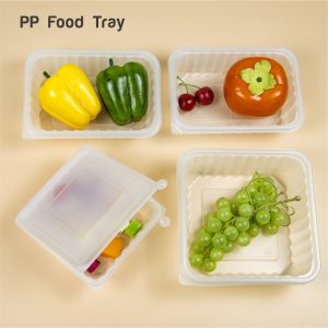 pp plastic food tray